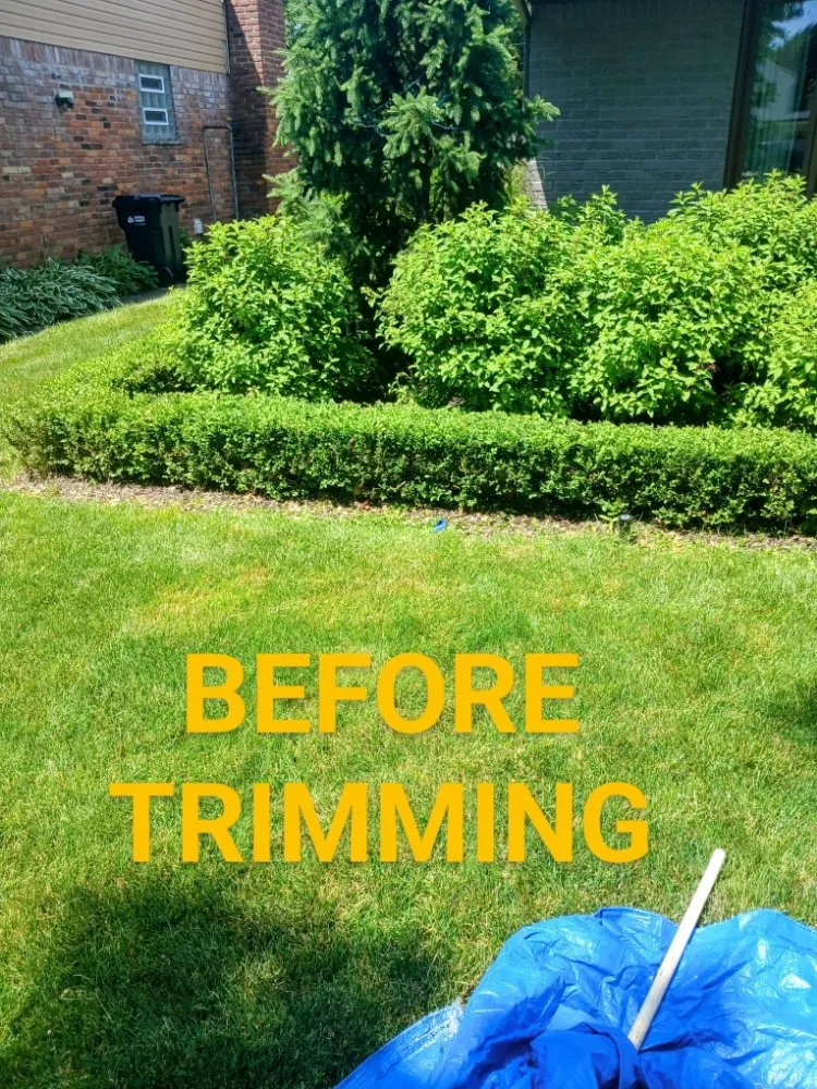 Custom yard maintenance experts serving Clinton Township, MI - Real Diehl Landscaping