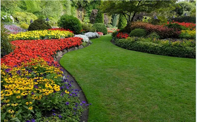 Local landscape design in Murrieta, CA by Real EC Landscaping