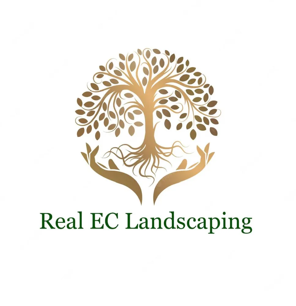 Top-rated outdoor landscaping in Murrieta, CA by Real EC Landscaping