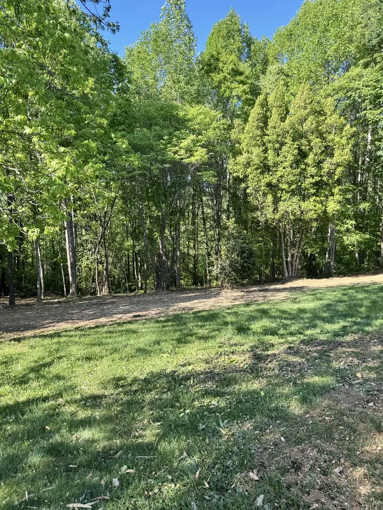 Affordable outdoor landscaping for beautiful yards in Hickory, NC by Real Free Outdoors