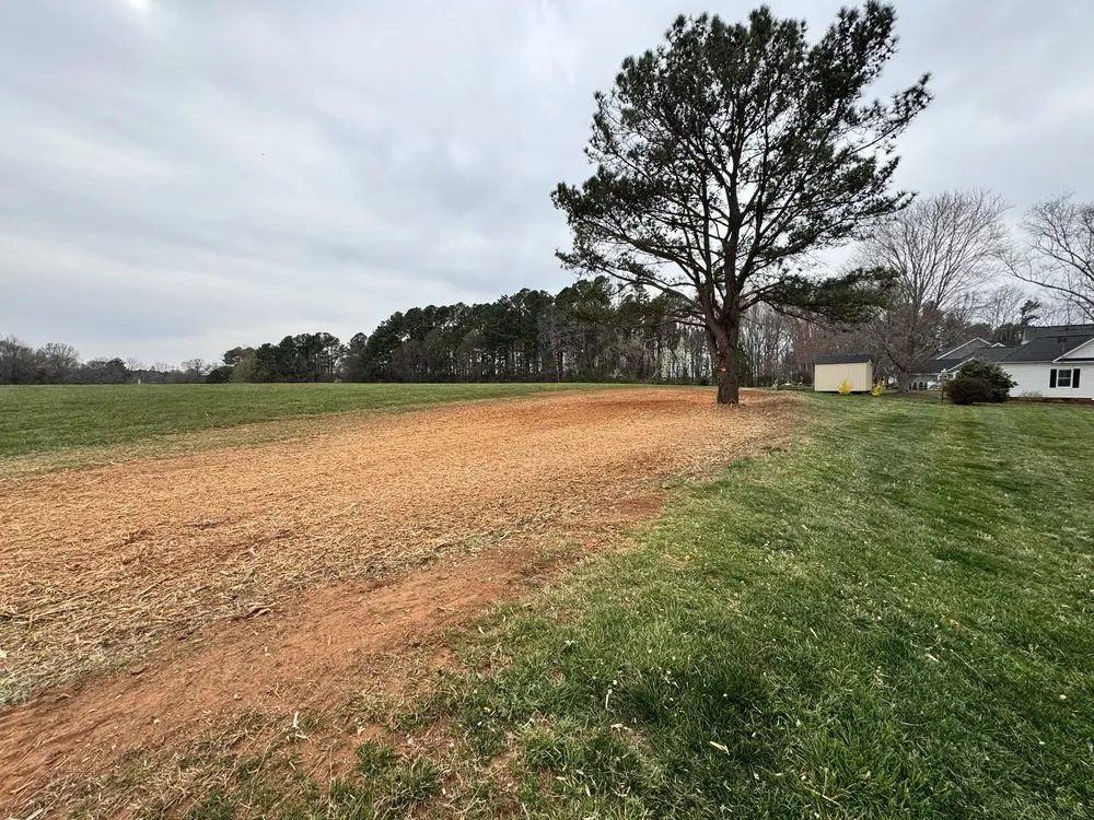 Reliable outdoor landscaping for year-round maintenance in Hickory, NC by Real Free Outdoors