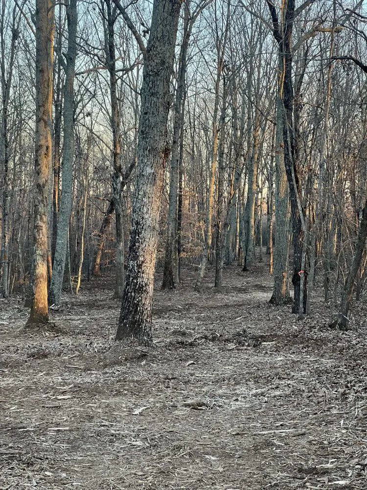 Affordable yard maintenance for outdoor upgrades in Hickory, NC by Real Free Outdoors