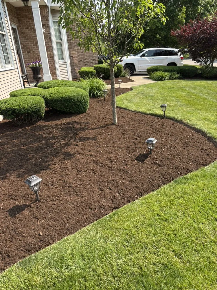Top-rated landscaping services with custom design across Joliet, IL - Real Fresh Landscaping