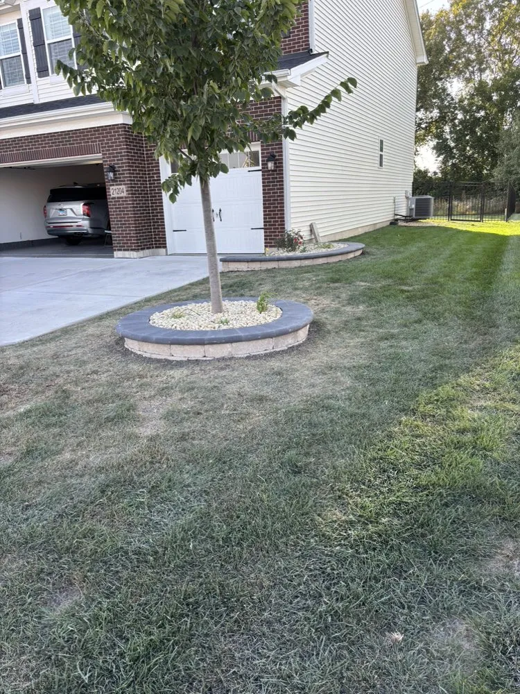 Professional yard cleanup service for year-round maintenance across Joliet, IL - Real Fresh Landscaping
