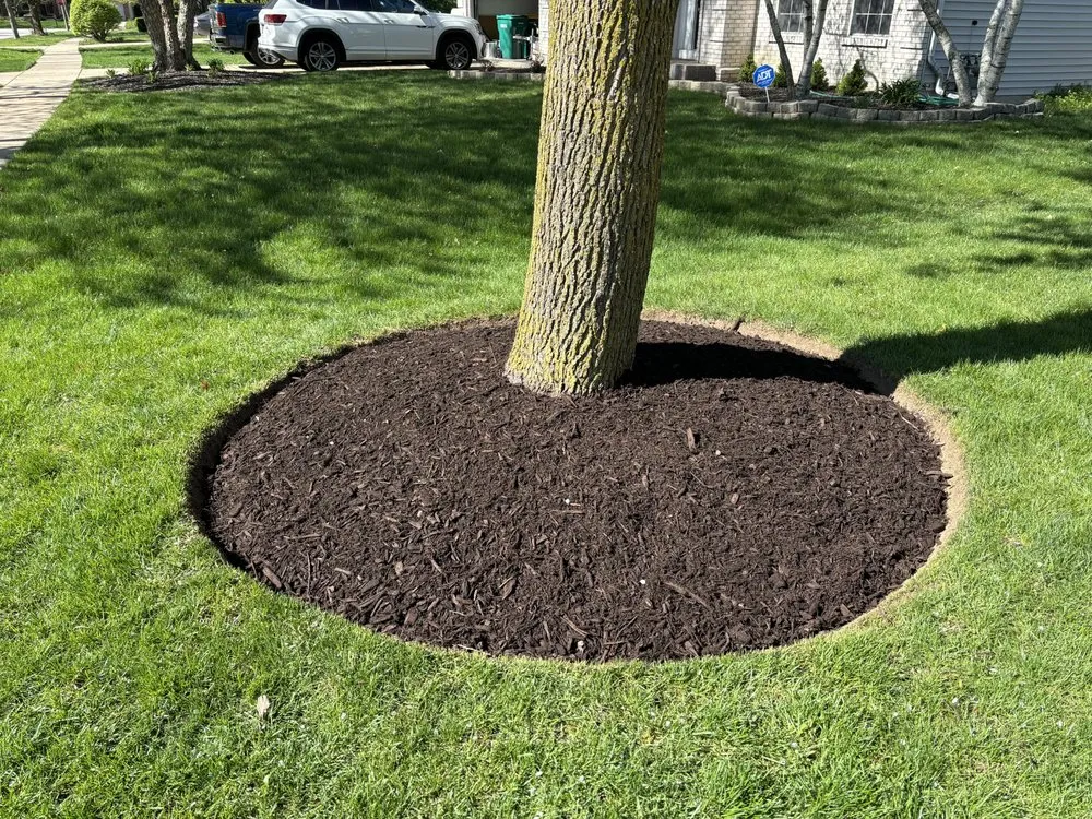 Top-rated lawn mowing service for year-round maintenance in Joliet, IL by Real Fresh Landscaping