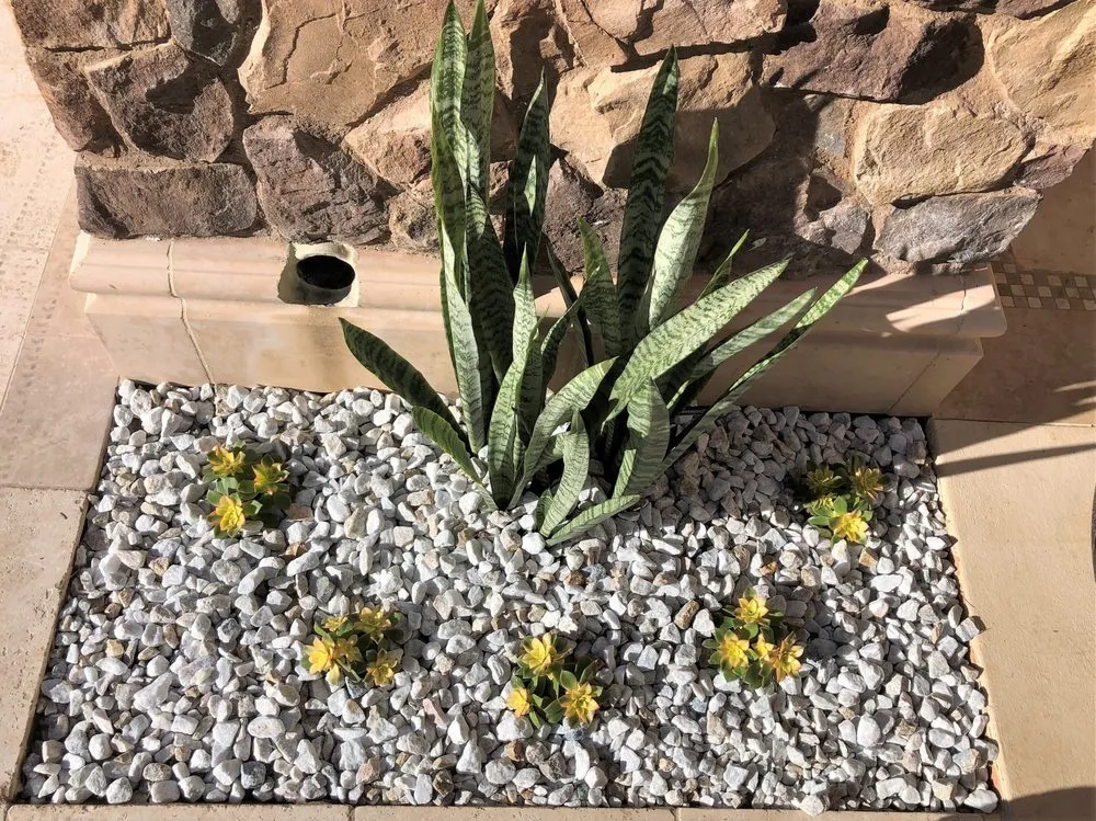 Top-rated lawn mowing service experts serving San Marcos, CA - Real Green Care