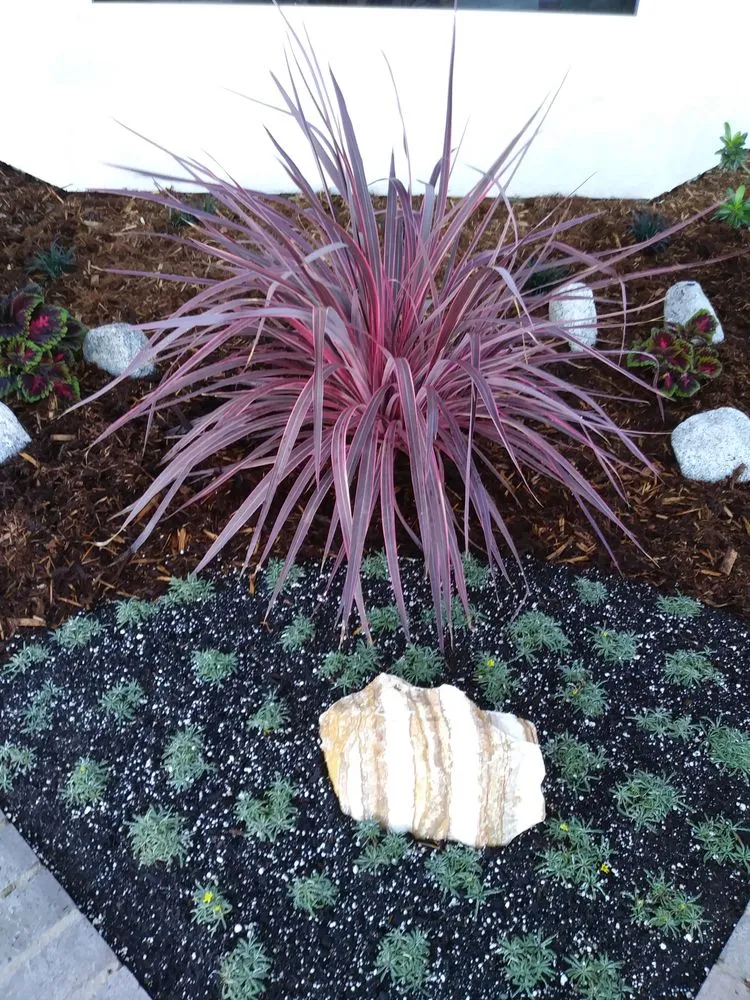 Trusted outdoor landscaping for residential properties across San Marcos, CA - Real Green Care