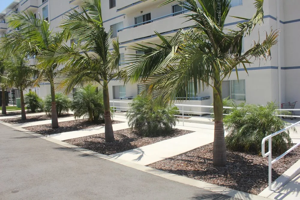 Affordable lawn mowing service experts serving San Marcos, CA - Real Green Care