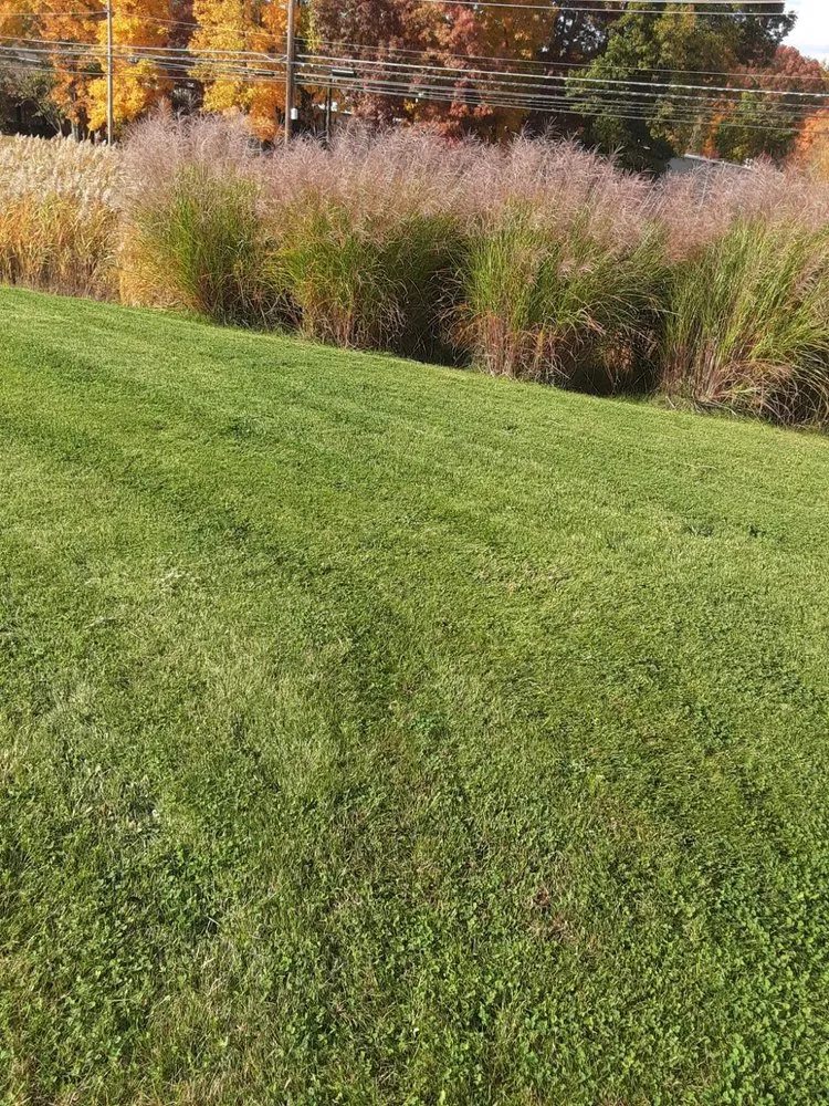 Affordable landscape design in Cuyahoga Falls, OH - Real Green Landscaping