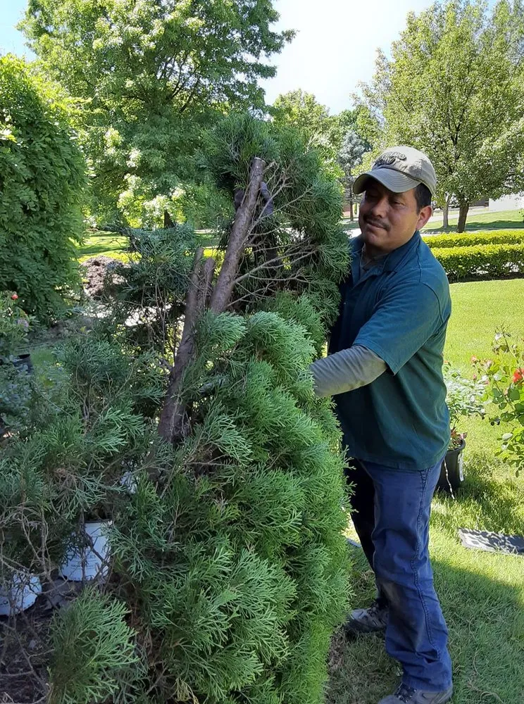 Local landscaping services for residential properties in Cuyahoga Falls, OH by Real Green Landscaping