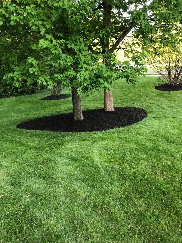 Top-rated residential landscaping in Cuyahoga Falls, OH by Real Green Landscaping