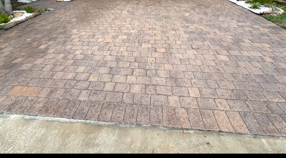 Expert lawn care service experts serving Orlando, FL - Real Green Landscaping