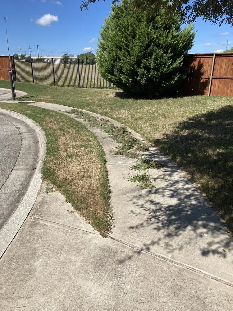 Expert outdoor landscaping for outdoor upgrades across Austin, TX - Real Green Pest and Lawn