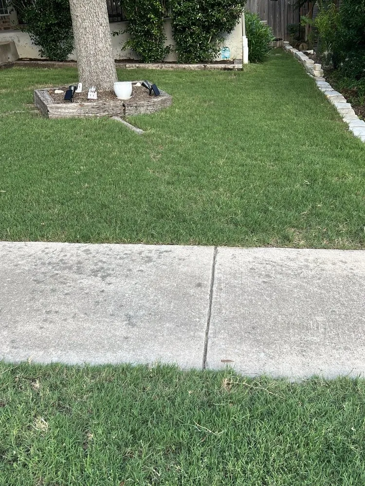 Custom yard cleanup service in Austin, TX by Real Green Pest and Lawn