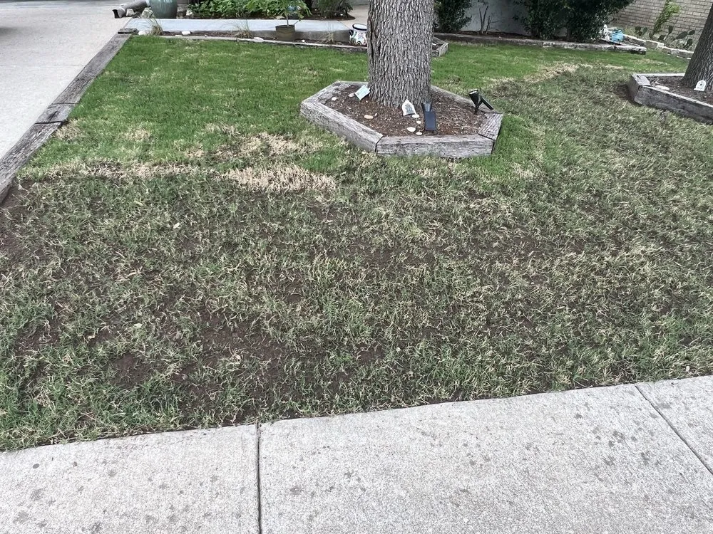 Reliable landscaping services in Austin, TX - Real Green Pest and Lawn