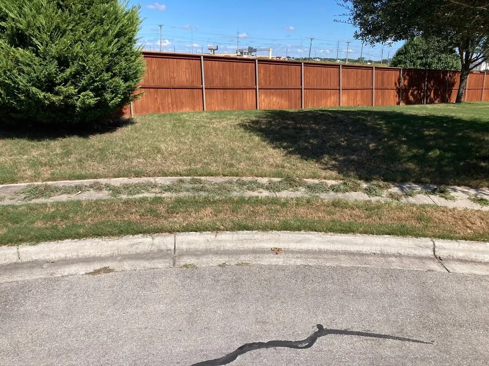 Local outdoor landscaping experts serving Austin, TX - Real Green Pest and Lawn