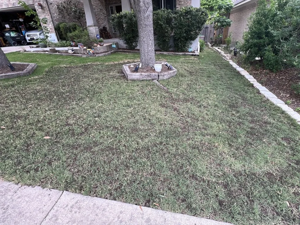Reliable yard cleanup service experts serving Austin, TX - Real Green Pest and Lawn