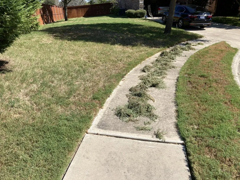 Local lawn care service for beautiful yards across Austin, TX - Real Green Pest and Lawn