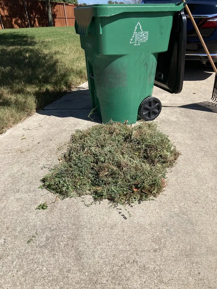 Trusted garden landscaping experts serving Austin, TX - Real Green Pest and Lawn