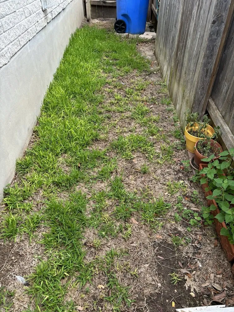 Top-rated outdoor landscaping experts serving Austin, TX - Real Green Pest and Lawn