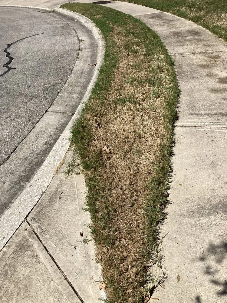 Professional landscaping services for outdoor upgrades in Austin, TX by Real Green Pest and Lawn