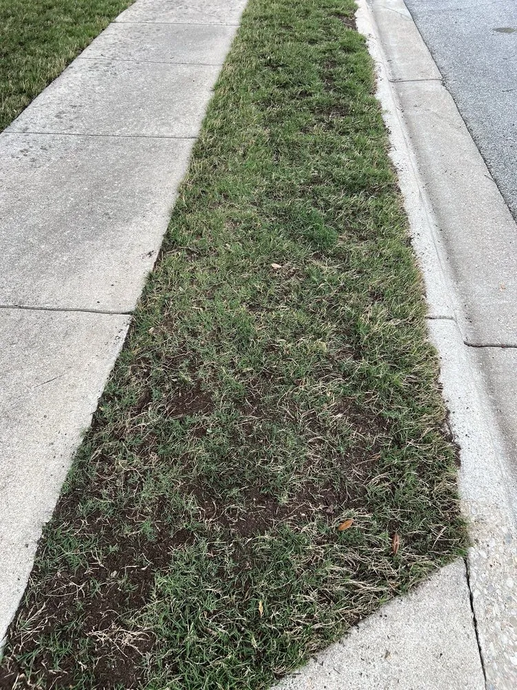 Custom outdoor landscaping near you in Austin, TX by Real Green Pest and Lawn