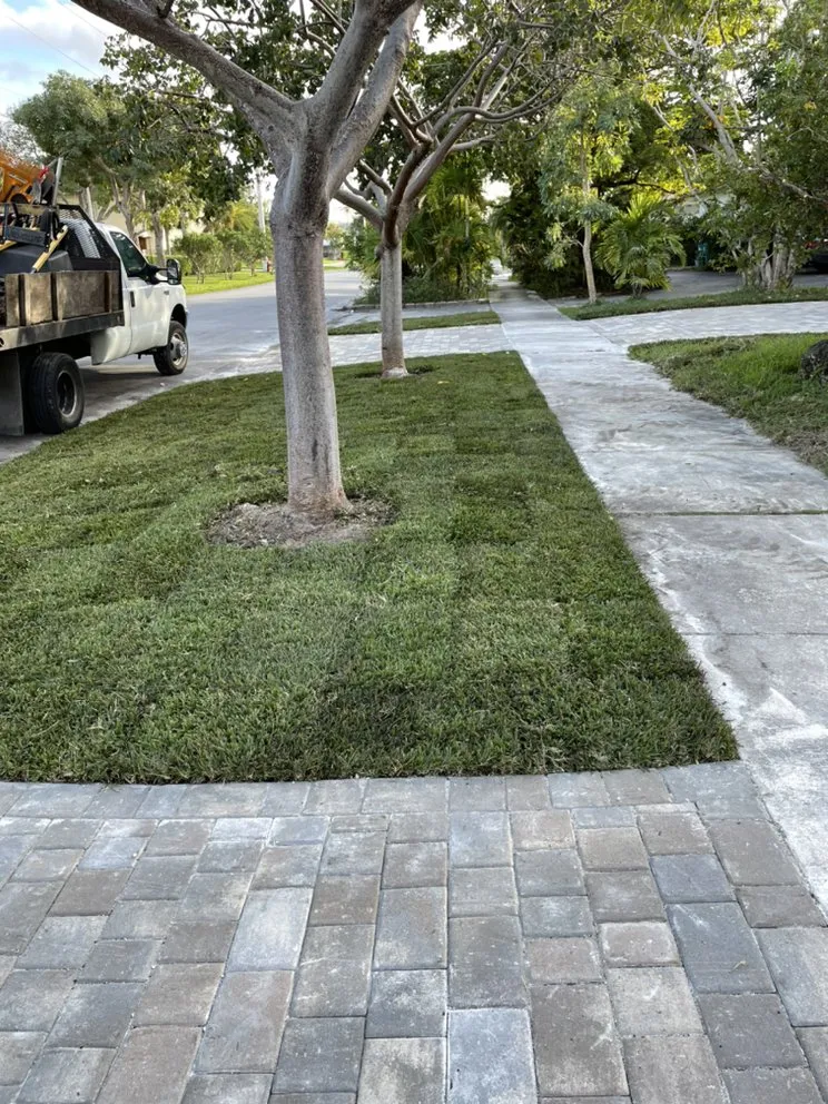 Custom landscaping services in Belle Glade, FL - Real Green Sod