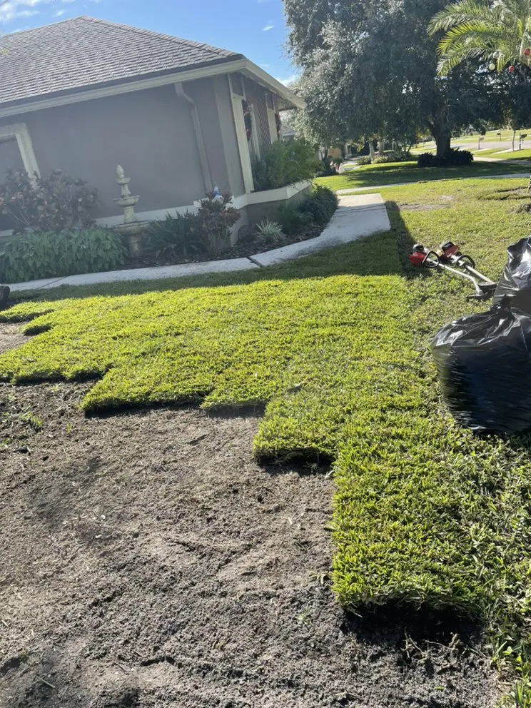 Affordable landscape installation for residential properties across Belle Glade, FL - Real Green Sod