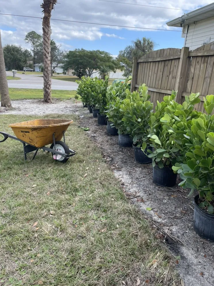 Trusted outdoor landscaping for beautiful yards in Belle Glade, FL by Real Green Sod
