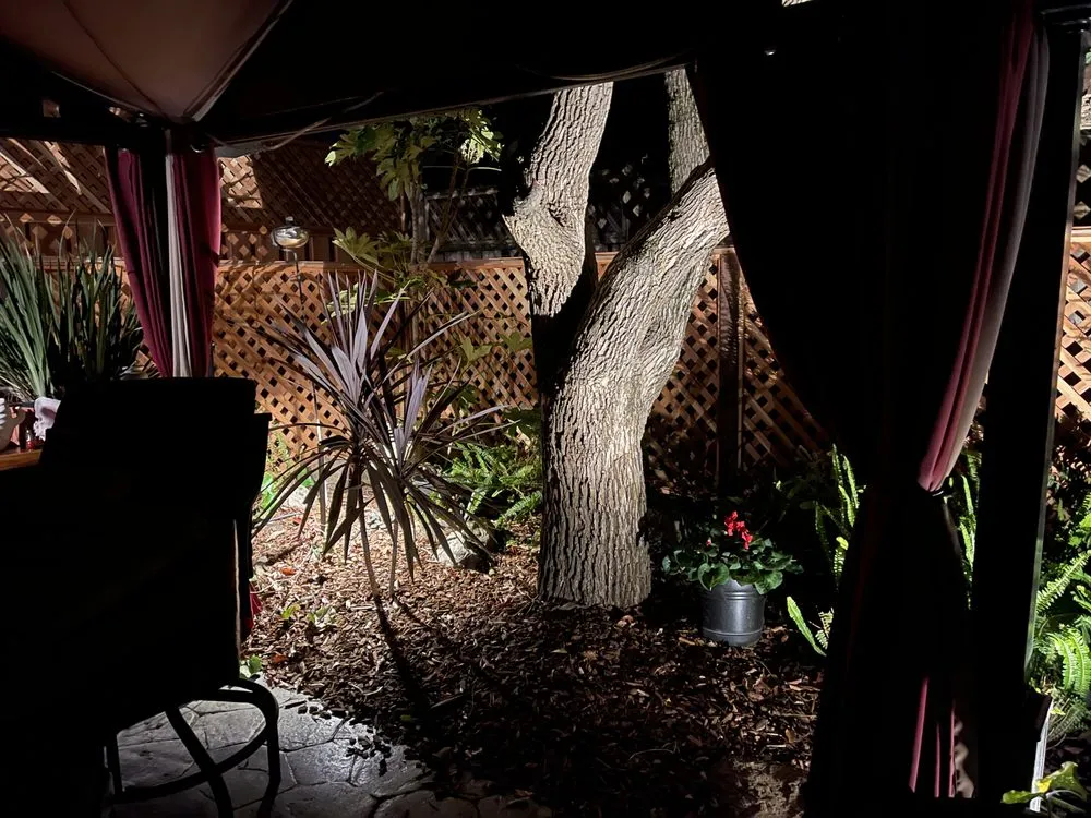 Local yard cleanup service for residential properties in Petaluma, CA by Real Land Contractors