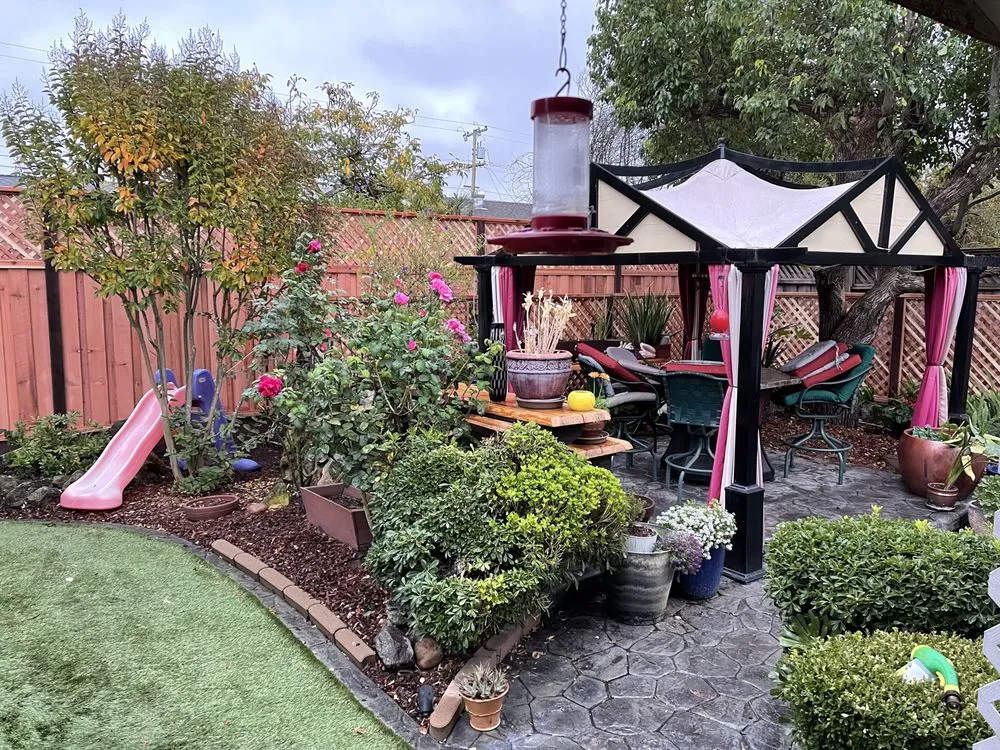 Professional outdoor landscaping near you in Petaluma, CA by Real Land Contractors