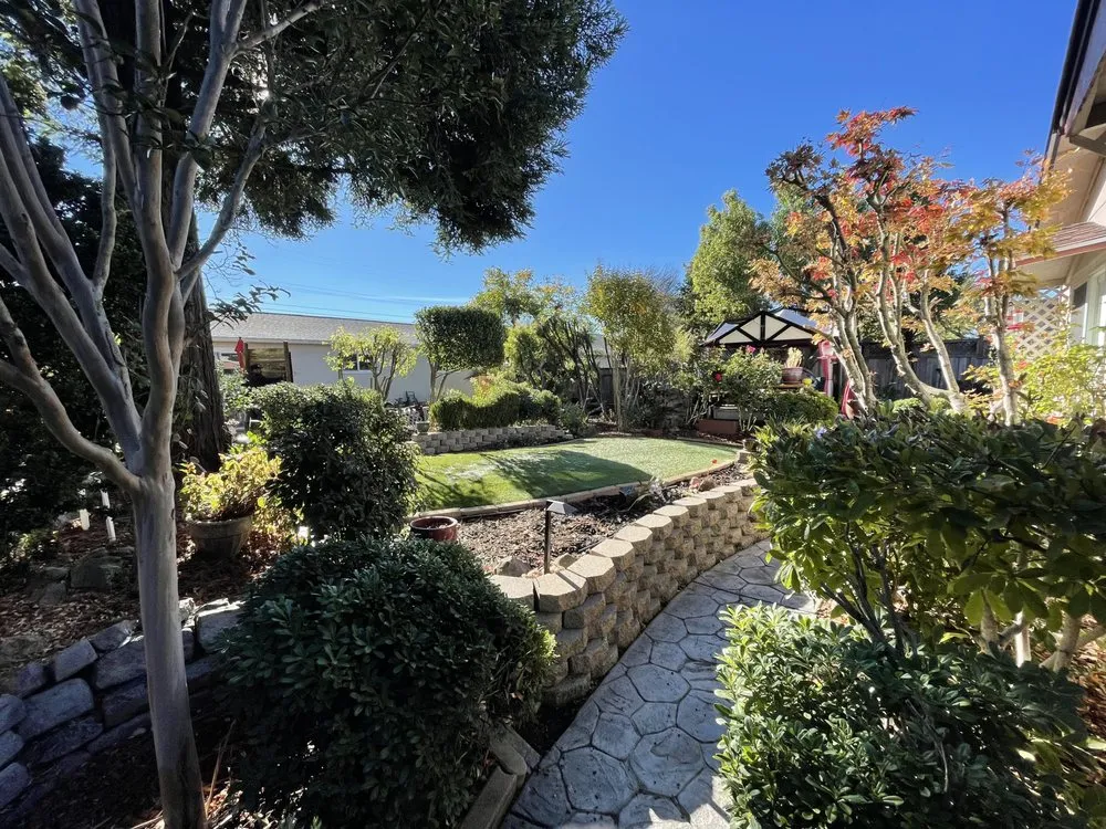 Reliable residential landscaping for year-round maintenance in Petaluma, CA by Real Land Contractors