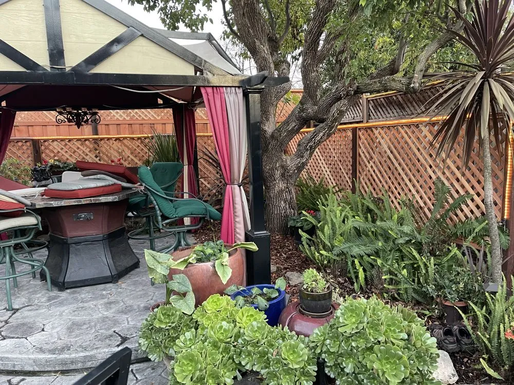 Local yard maintenance for homes in Petaluma, CA by Real Land Contractors