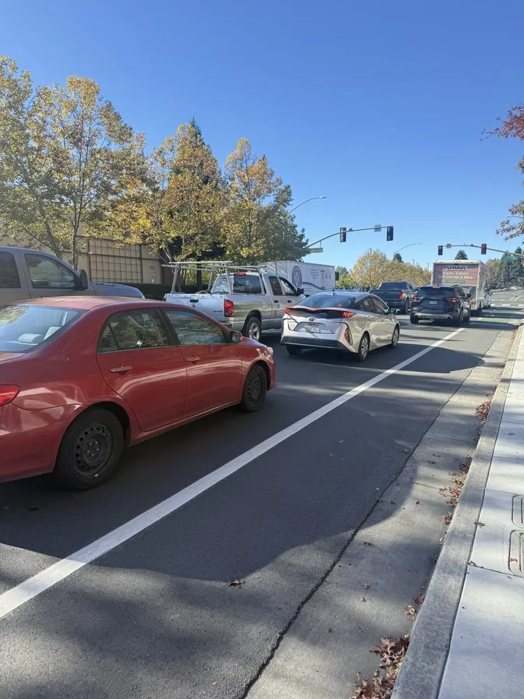 Professional yard cleanup service experts serving Petaluma, CA - Real Land Contractors