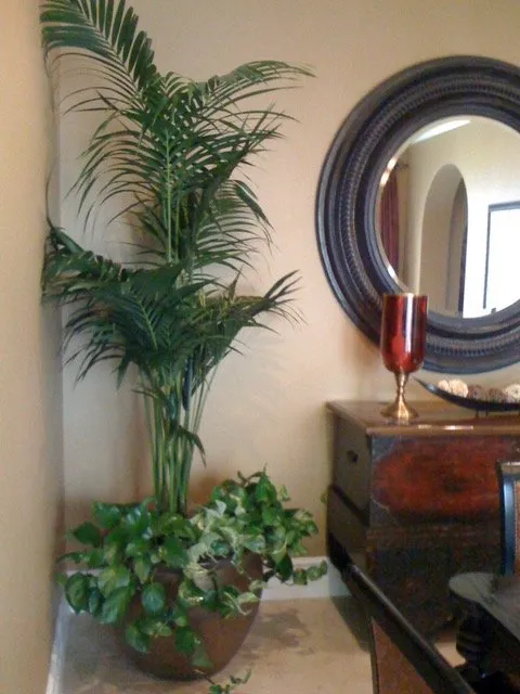 Trusted landscape design for residential properties across Ladera Ranch, CA - Real Plants