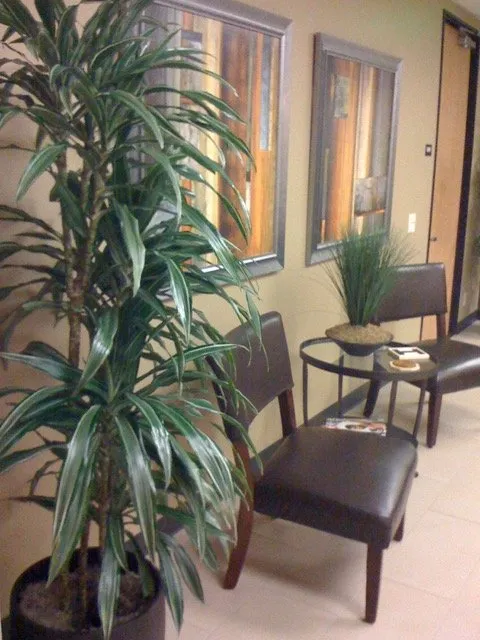 Affordable yard cleanup service in Ladera Ranch, CA - Real Plants