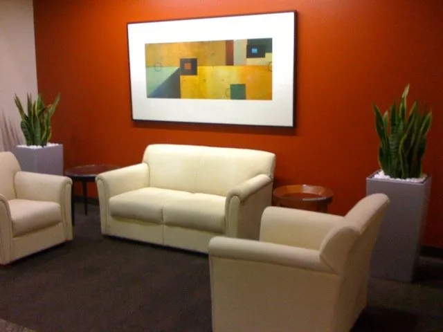 Professional outdoor landscaping in Ladera Ranch, CA - Real Plants