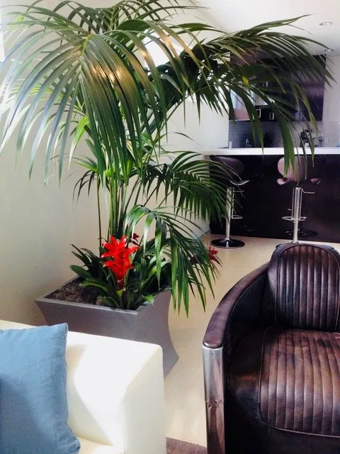 Trusted yard maintenance for homes across Ladera Ranch, CA - Real Plants