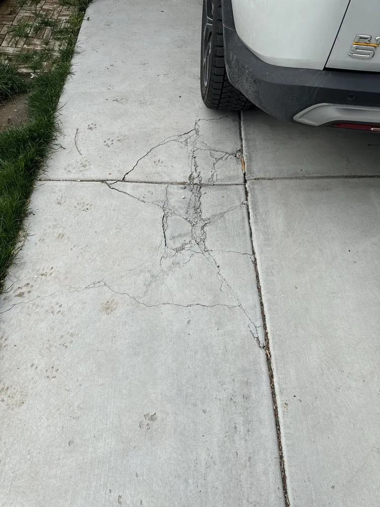 Expert yard cleanup service in West Valley City, UT - Real Property Contractor