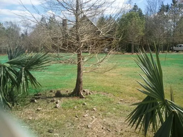 Expert outdoor landscaping for residential properties across Jackson, MS - Real Scape