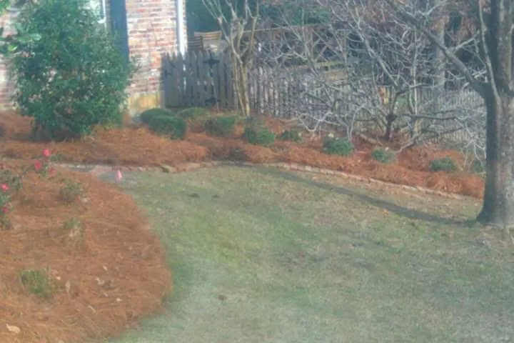 Top-rated garden landscaping in Jackson, MS - Real Scape