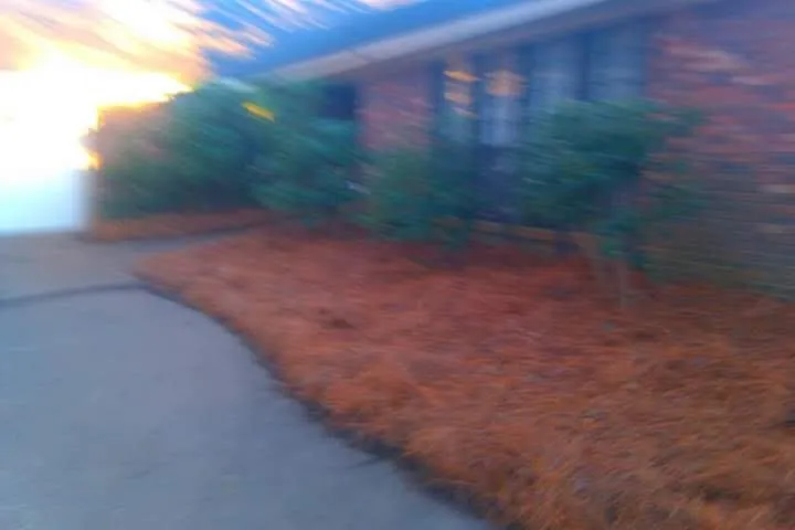 Professional landscape installation for beautiful yards across Jackson, MS - Real Scape