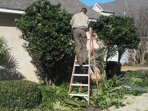 Custom landscaping services in Jackson, MS by Real Scape