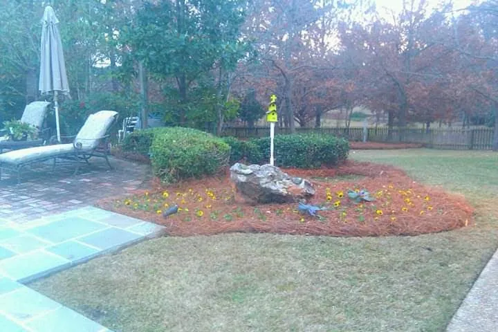 Expert lawn care service experts serving Jackson, MS - Real Scape