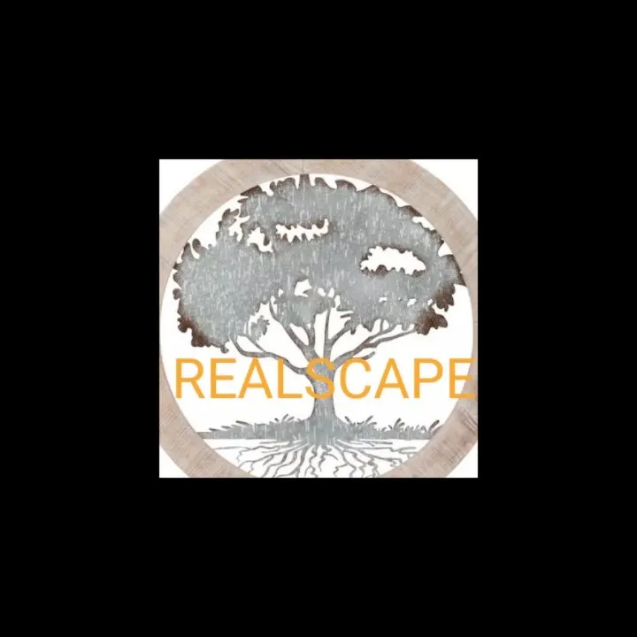 Trusted lawn mowing service in Jackson, MS - Real Scape