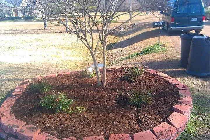 Trusted landscape design in Jackson, MS by Real Scape