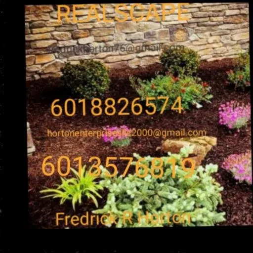 Trusted landscape design for year-round maintenance across Jackson, MS - Real Scape