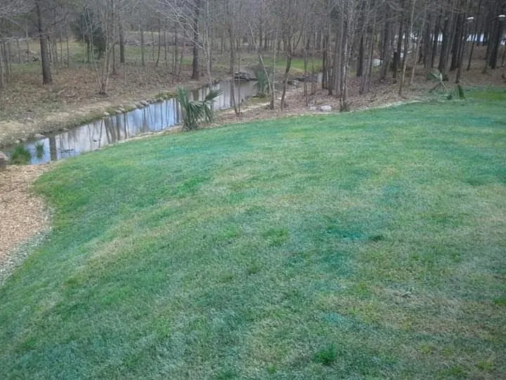 Expert lawn mowing service for outdoor upgrades across Jackson, MS - Real Scape