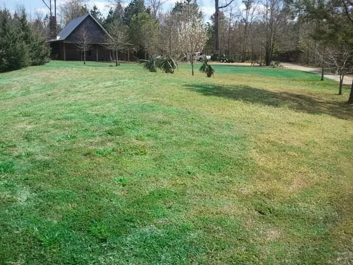 Top-rated outdoor landscaping in Jackson, MS by Real Scape