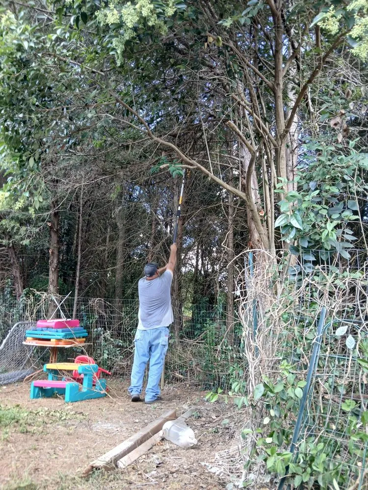 Affordable lawn care service experts serving Mooresville, NC - Real Services